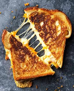 Classic cheese grilled sandwich