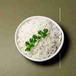 Plain Steam Rice