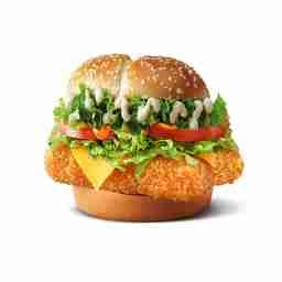 Cheese paneer italiano burger