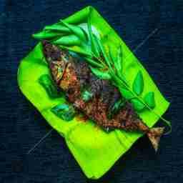 Ayala Fry [Mackerel]