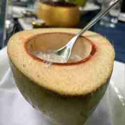 Tender Coconut Pudding