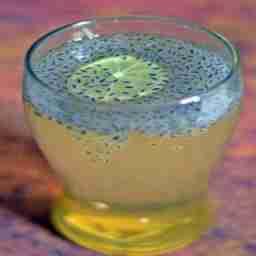 Nannari Sarbath