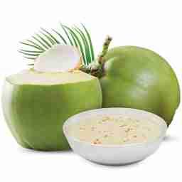 Tender coconut pudding