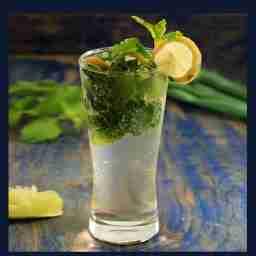 Mojito mint coolers