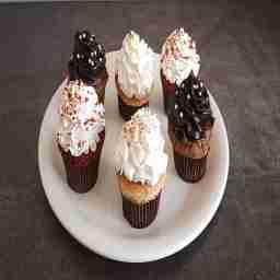 Assorted cupcake [pack of 6]