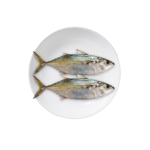 Mackerel | Ayala 500g