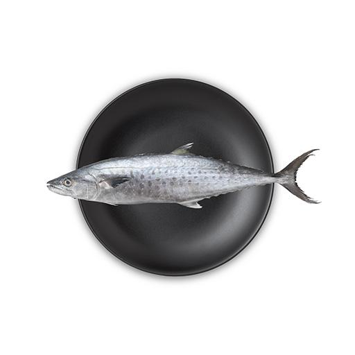 Seer Fish Slices 500g