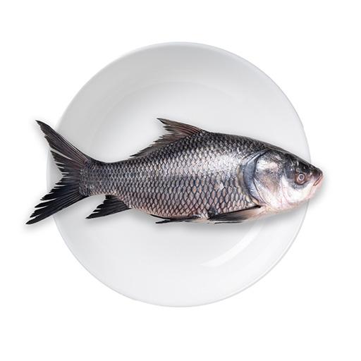 Catla Small 1kg