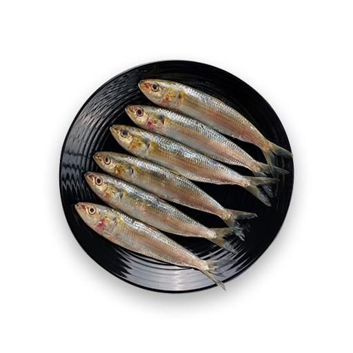 Sardine | Mathi 500g