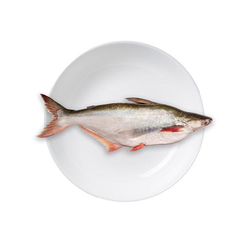 Pangus Fish500g