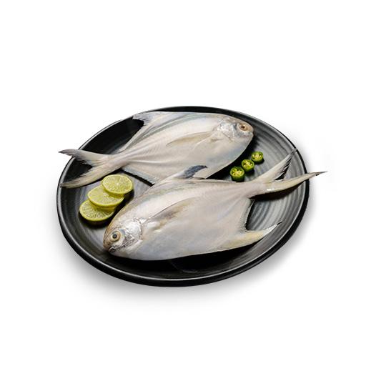 White Pomfret Medium | Vavval 500g