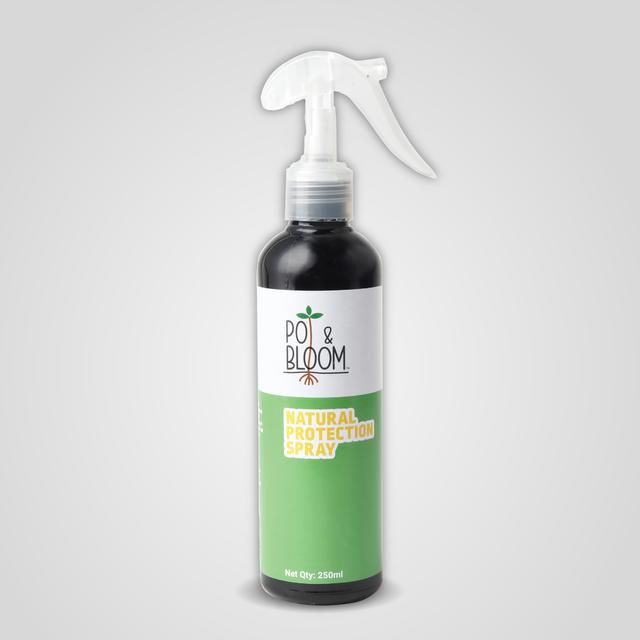 Protection Spray 250 ml