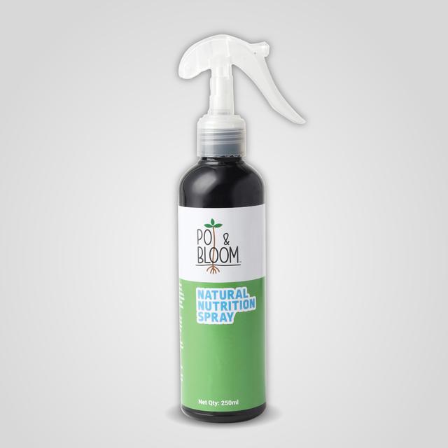 Nutrition Spray 500 ml