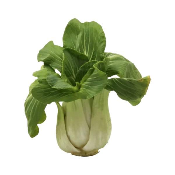 Agrify Fresh Bok Choi - Cleaned, without roots 250 Gms
