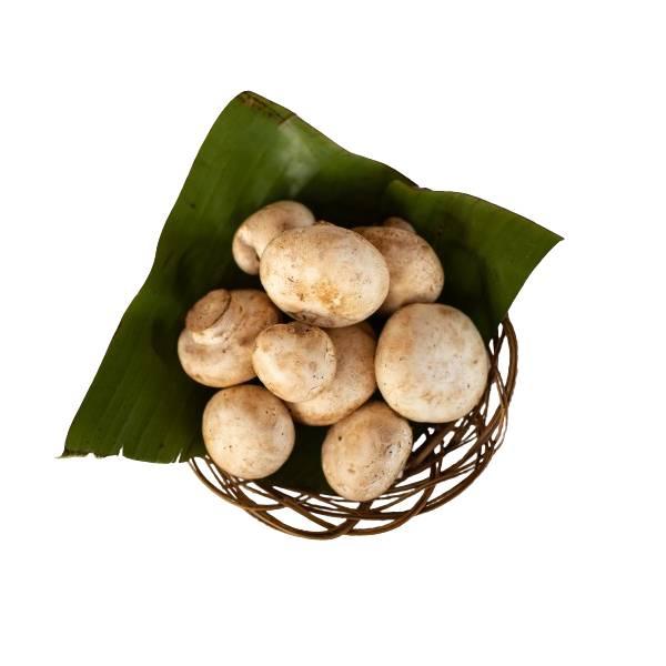 Agrify Fresh Button Mushroom 1 Box
