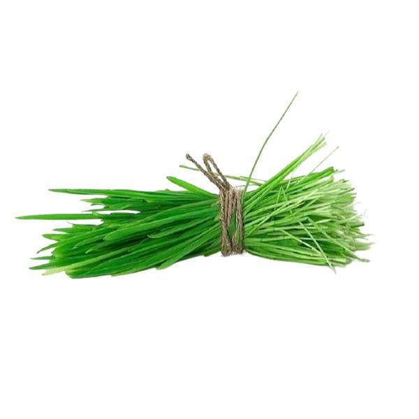 Agrify Fresh Durva Grass 1 Bunch