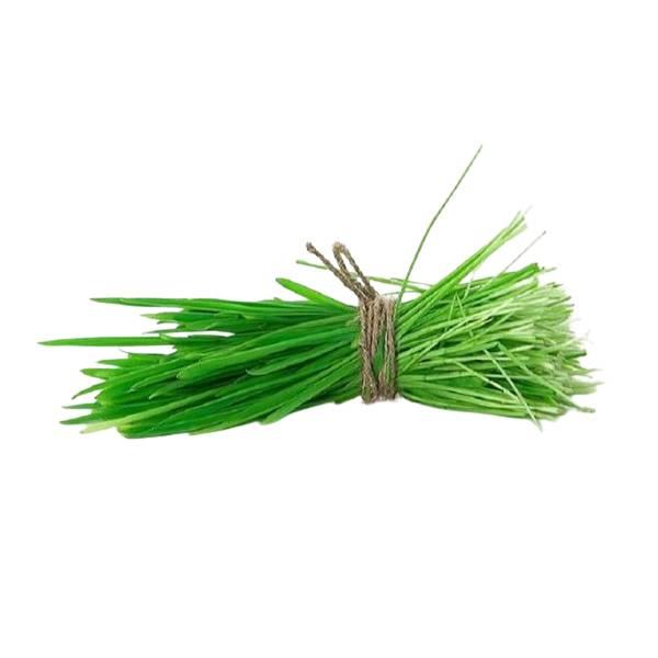 Agrify Fresh Durva Grass 2 Bunches