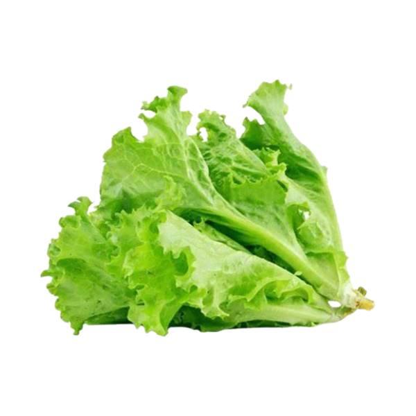 Agrify Fresh Lettuce - Green 1 Pcs