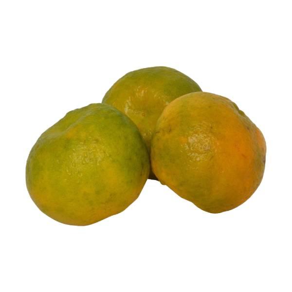 Agrify Fresh Orange - Nagpur 1 Kg