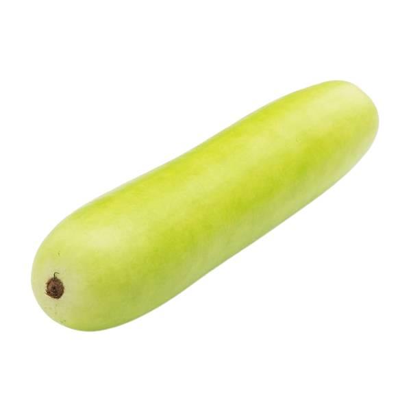 Agrify Fresh Bottle Gourd 1 Pcs