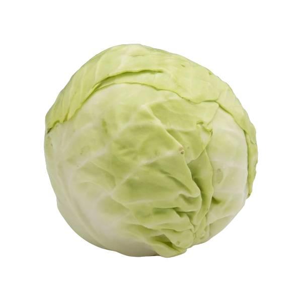 Agrify Fresh Cabbage 1 Pcs