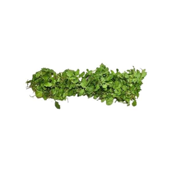 Agrify Fresh Tulsi - String 1 Bunch