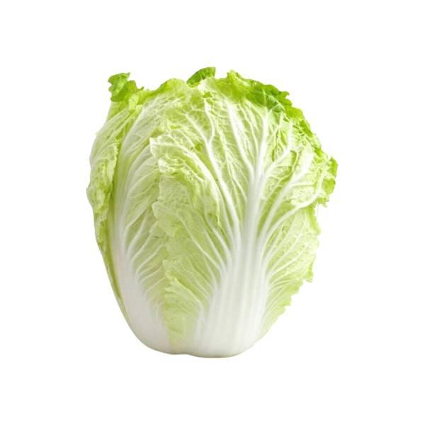Agrify Fresh Cabbage - Chinese 1 Pcs