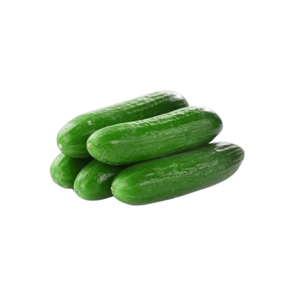 Agrify Fresh Cucumber - English 1 Kg