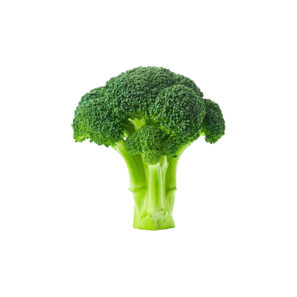 Agrify Fresh Broccoli 1 Pc