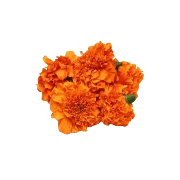 Agrify Fresh Marigold Flowers 100 Gms