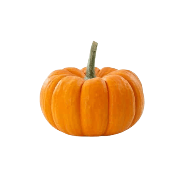 Agrify Fresh Pumpkin - Disco 1 Pc