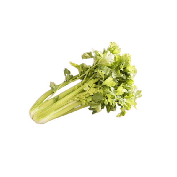 Agrify Fresh Celery - Cleaned, Without Roots 1 Bunch