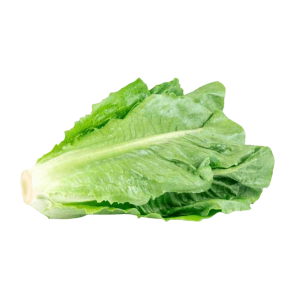 Agrify Fresh Lettuce - Romaine 250 Gms