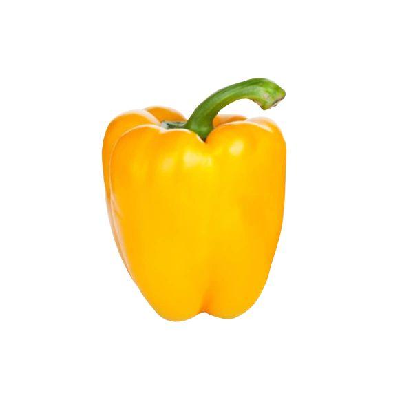 Agrify Fresh Capsicum - Yellow 1 Pc