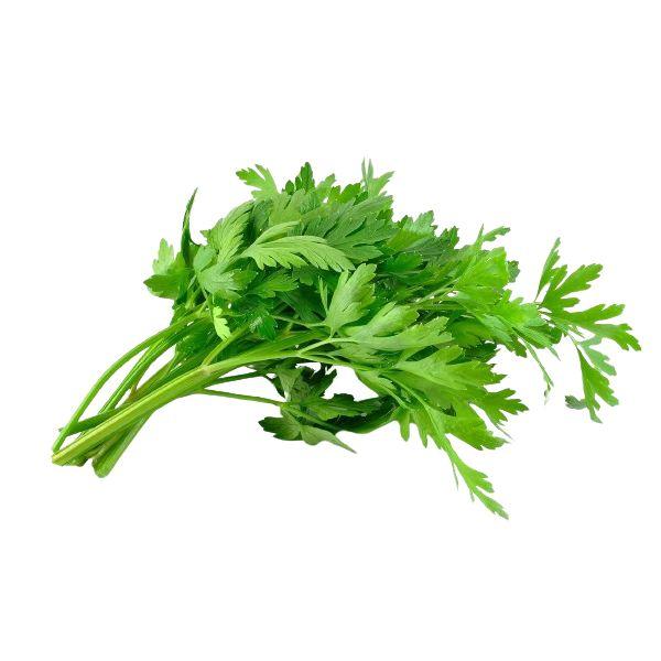 Agrify Fresh Celery 100 Gms