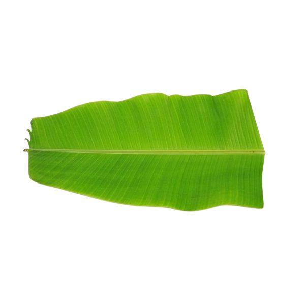 Agrify Fresh Banana Leaf 1 Pc