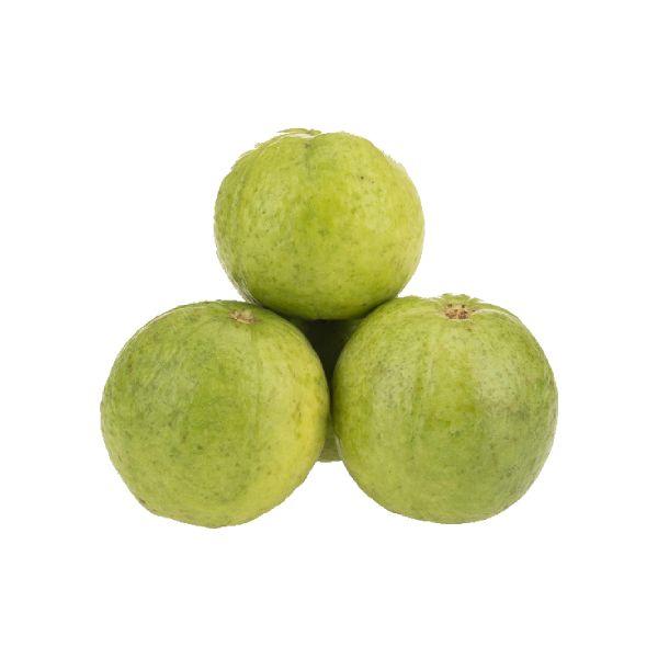 Agrify Fresh Guava - Indian 500 Gms