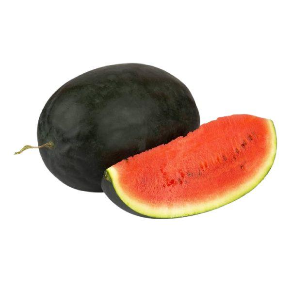 Agrify Fresh Watermelon - Kiran 1 Pc