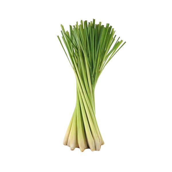 Agrify Fresh Lemongrass 100 Gms