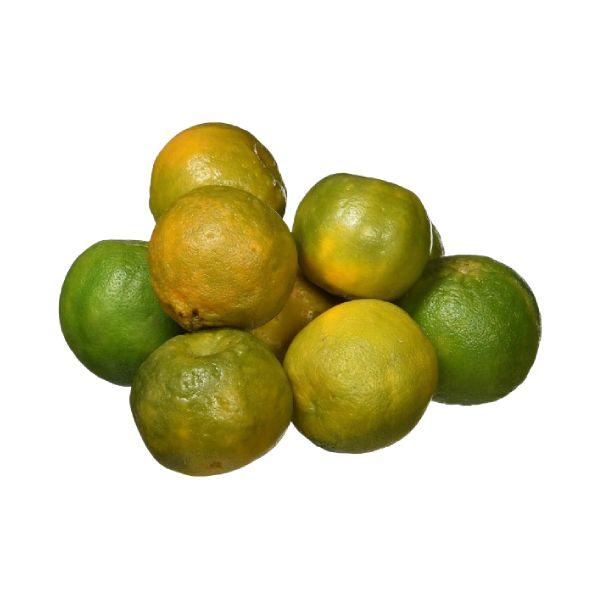 Agrify Fresh Orange - Nagpur (Mini) 1 Kg