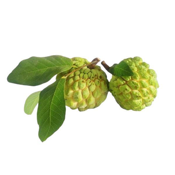 Agrify Fresh Custard Apple - Golden 2 Pcs