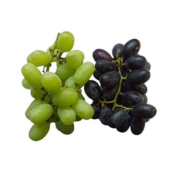 Agrify Fresh Mixed Grapes 500 Gms