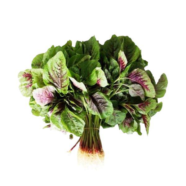 Agrify Fresh Green Amaranth 1 Bunch