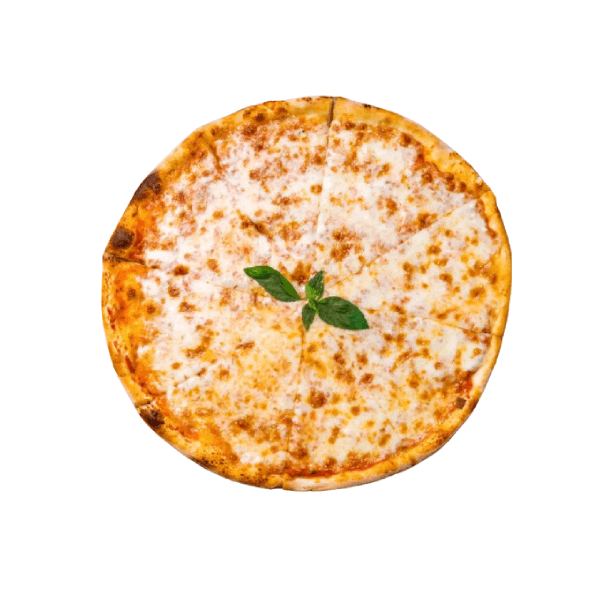 Cheesy Yummy Pizza Regular