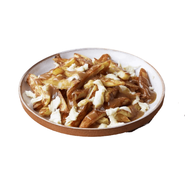 Cheesy Gravy Fries