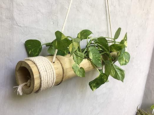 Dastkar Crafts Bamboo Hanging Planter With Disposable Gloves