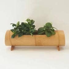 Bamboo Planter
